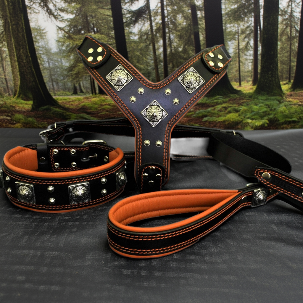 "EROS" BIG dog SET- Harness - collar - lead. Black & Orange