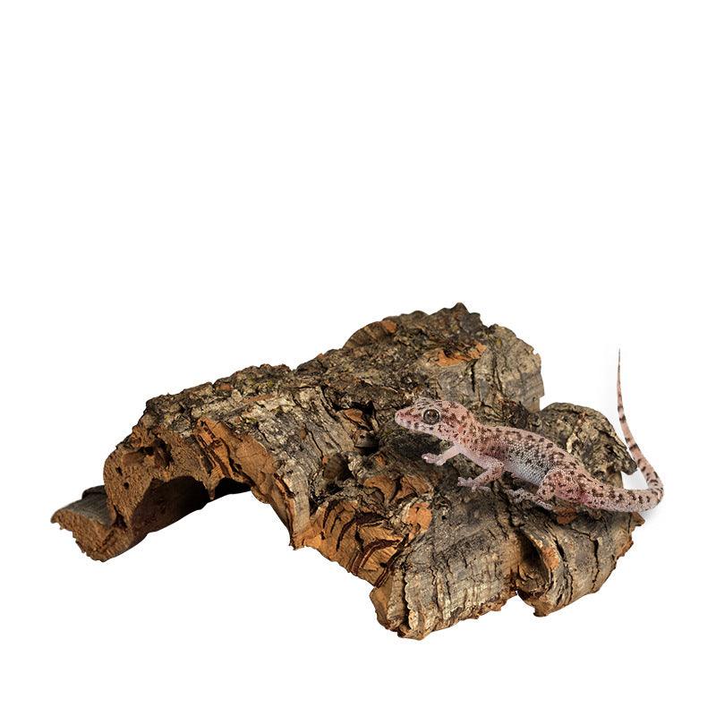 Reptile Hideaway Haven: Natural Cork Bark Climbing And Hiding Spot For Reptiles