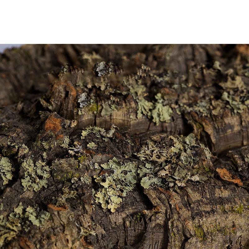 Reptile Hideaway Haven: Natural Cork Bark Climbing And Hiding Spot For Reptiles