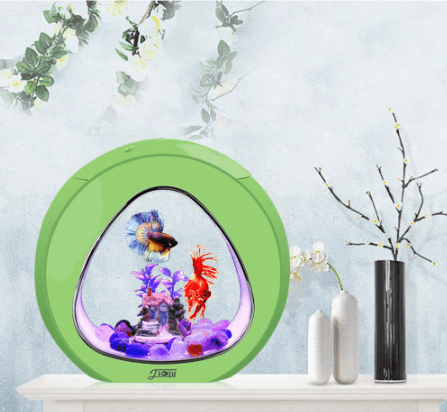 The Aquavista Desktop Fish Tank Aquarium