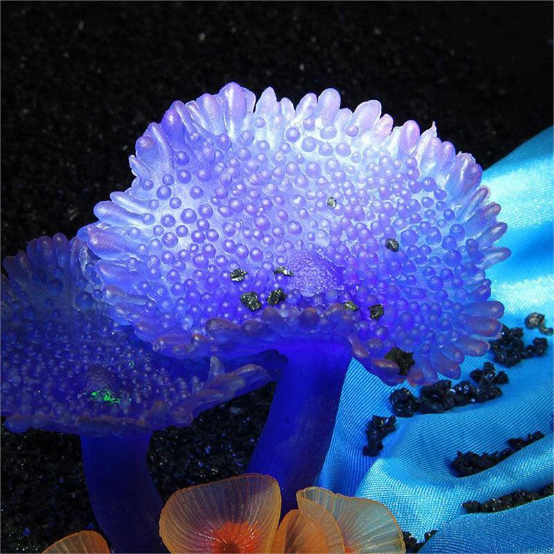 Aquatic Coral Oasis