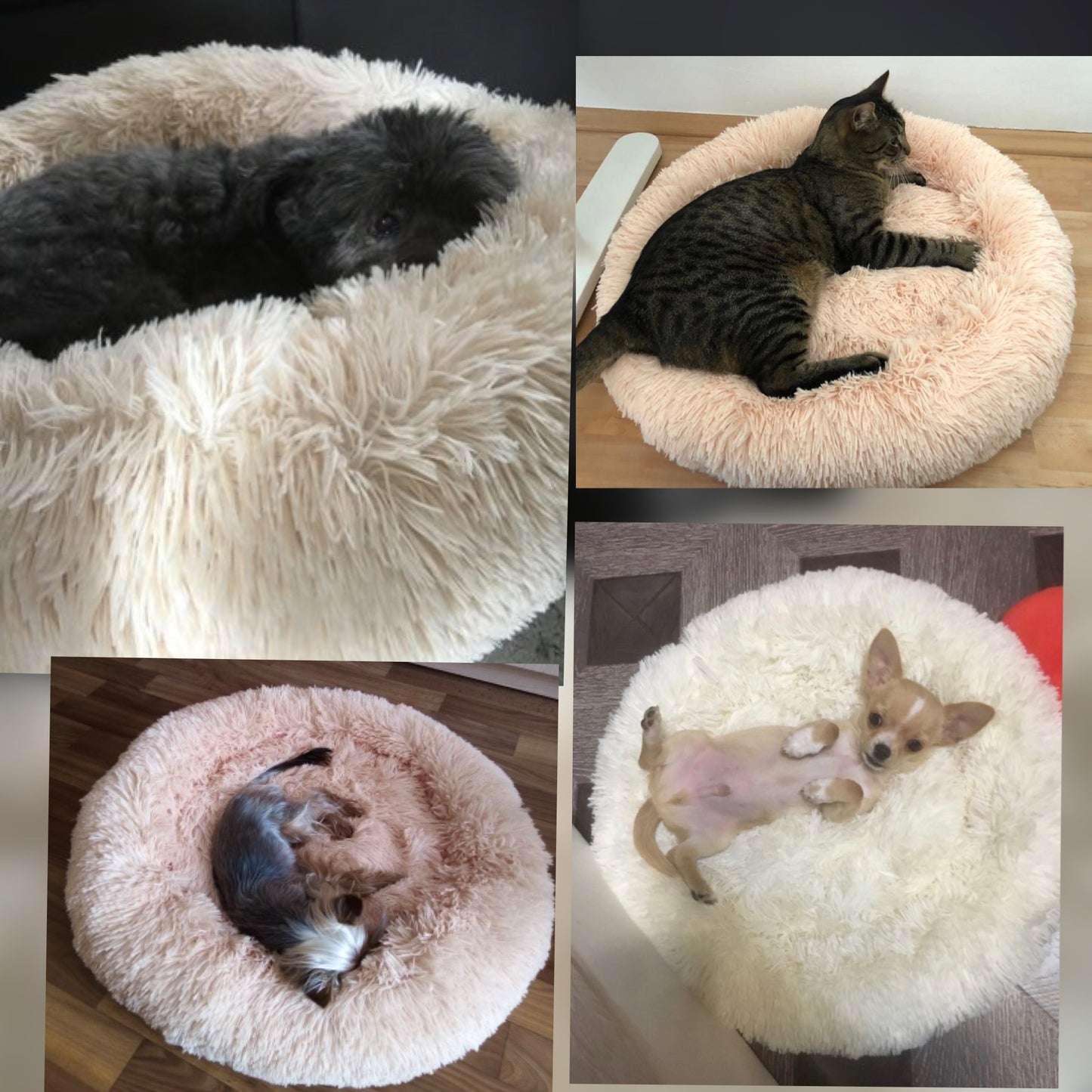 #Best dog beds for anxious dogs