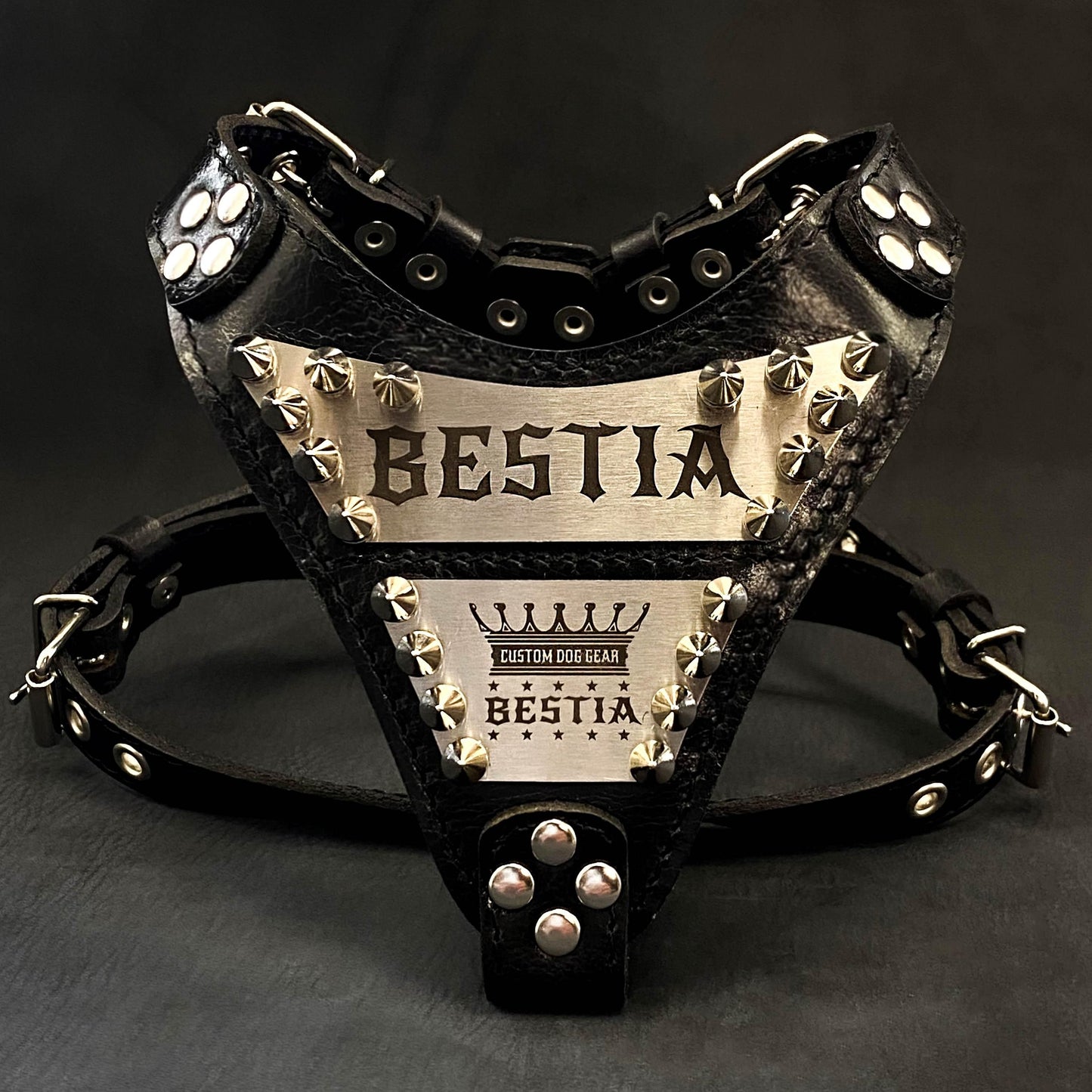 The "Metal" harness small to medium size - Personalized